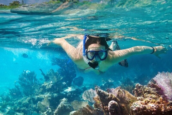Kicker Rock Snorkeling Expedition – Kicker Rock, San Cristóbal Island (photo 1)