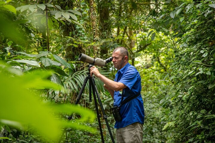 La forêt de nuages avec un guide naturaliste – Forêt de nuages de Monteverde, Puntarenas (photo 3)