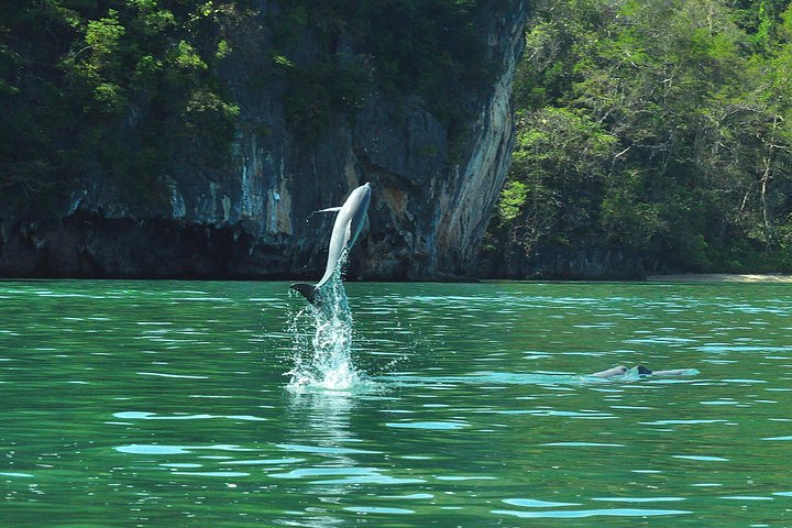 Mangrove et géoparc de Kilim en bateau – Langkawi, Malaisie (photo 1)