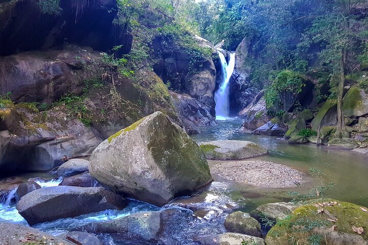 Minca : randonnée d'une journée avec ateliers café et cacao – Minca, Sierra Nevada de Santa Marta, Colombie (photo 1)