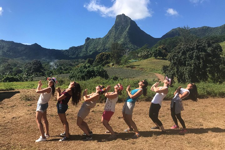 Moorea en 4x4 : Montagne Magique, belvédère d'Opunohu, ananas et baies – Point de rendez-vous indiqué sur le bon de réservation, Moorea, Polynésie française (photo 1)