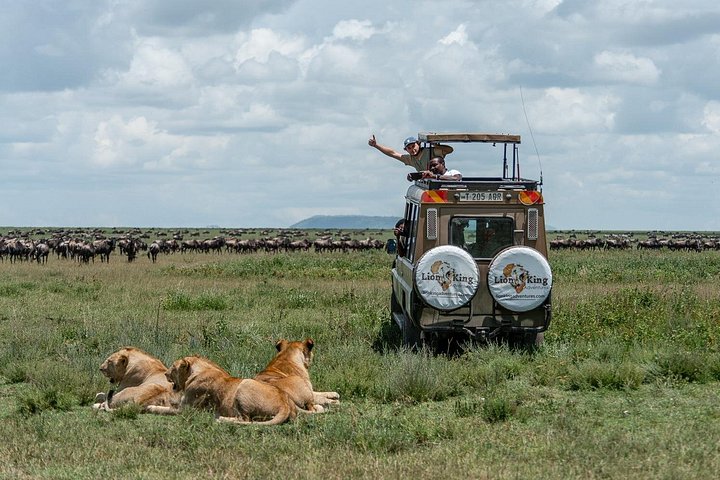 Safari privé de 6 jours : Tarangire, Ndutu, Ngorongoro et Manyara (photo 1)