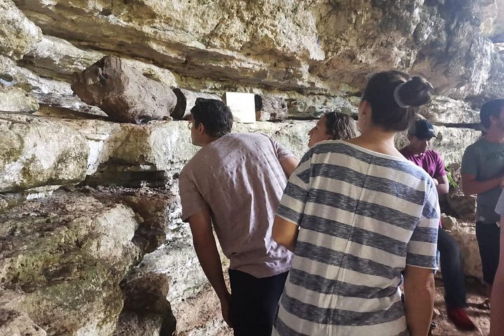 Visite des abeilles mayas – Calle 57, Valladolid, Yucatán, Mexique (photo 3)
