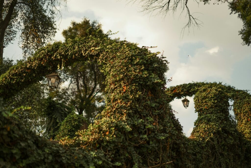 Jardins du Mirador de la Basílica de Guadalupe à Mexico
