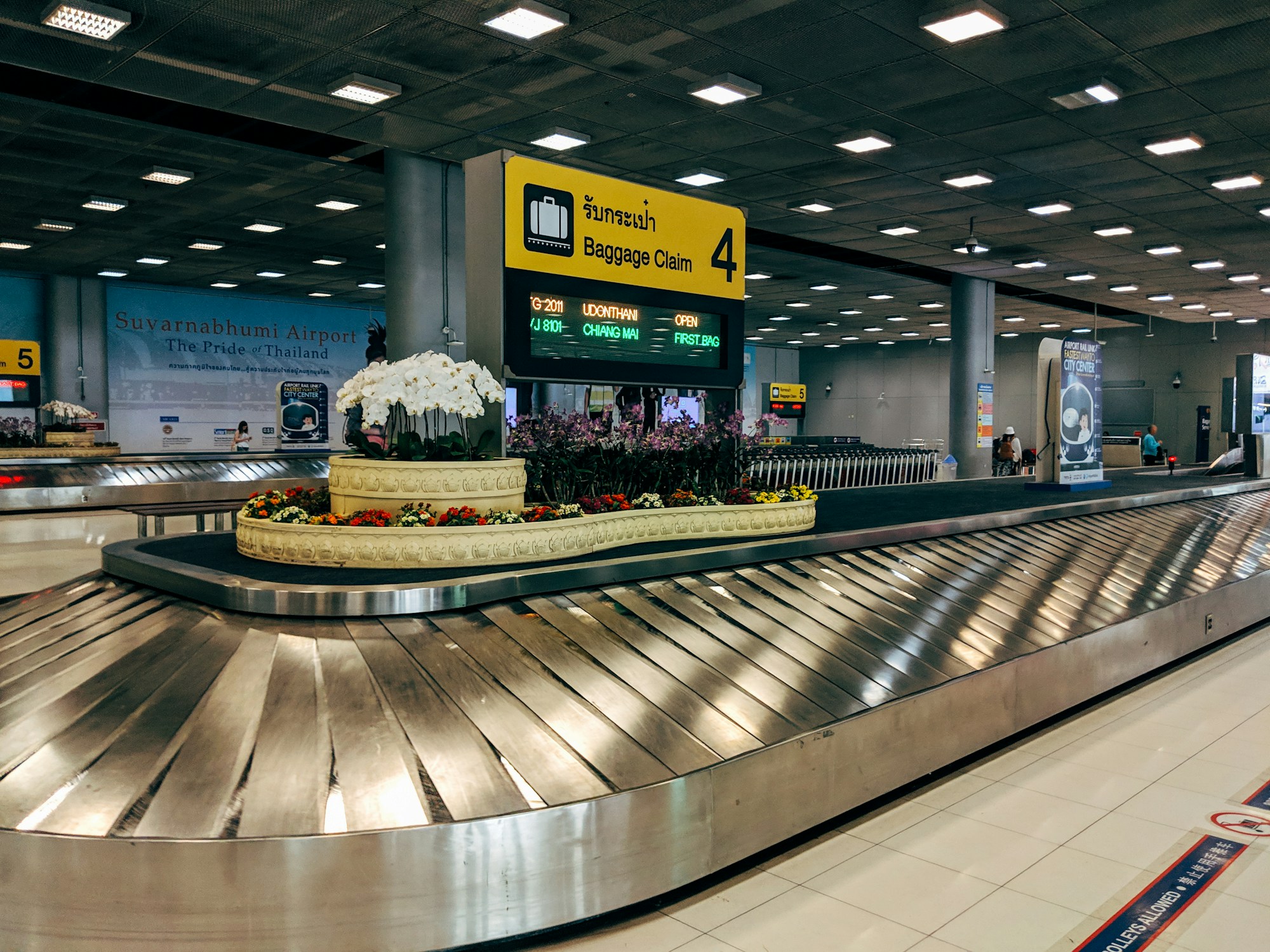 Suitcases lined up in an airport baggage reclaim hall