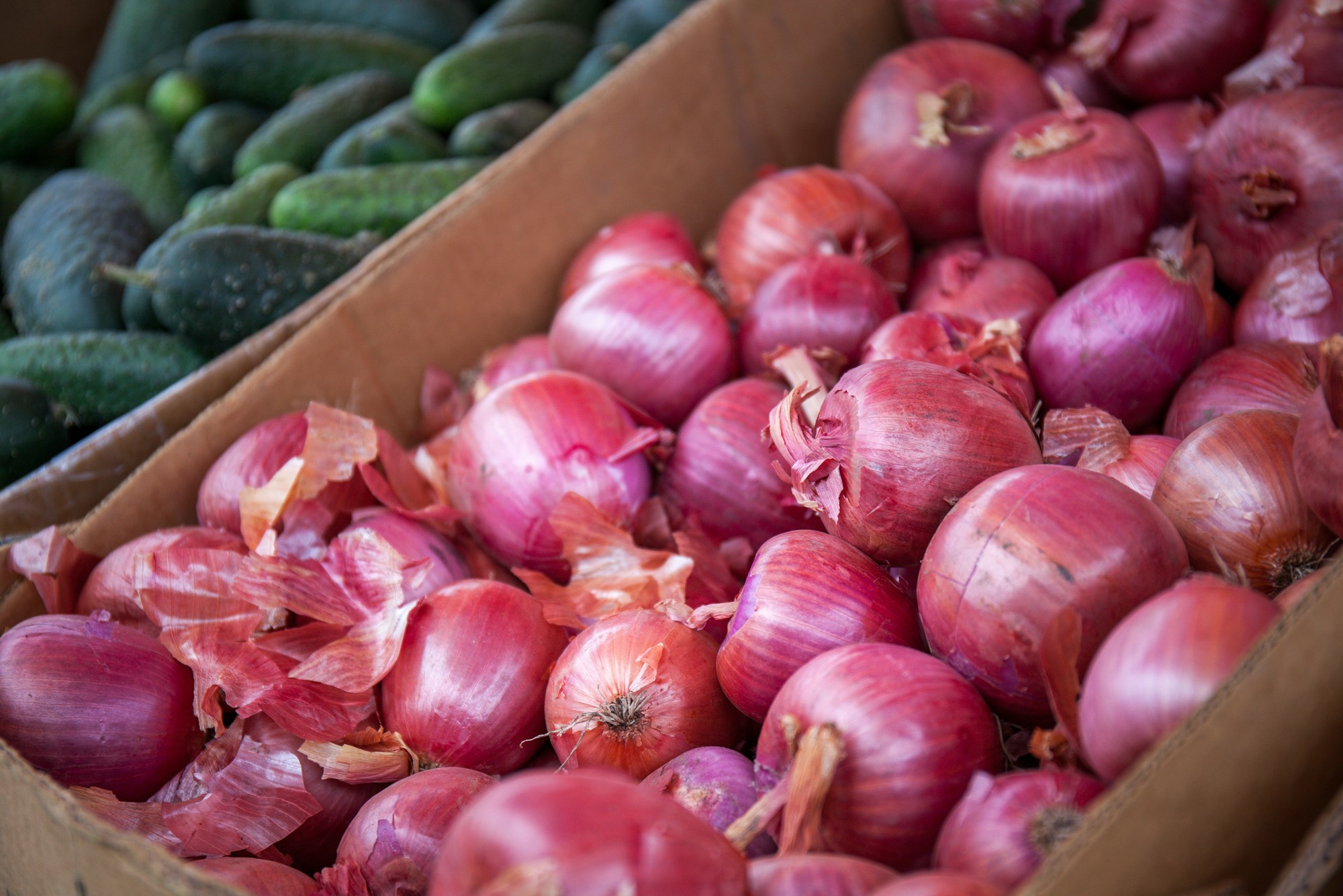 Loose red onions, the emblematic product of the Bern market