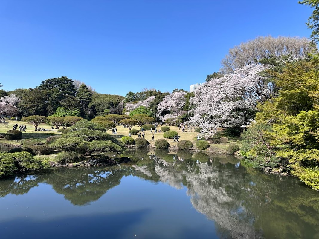 Jardin national Shinjuku Gyoen – 11 Naitōmachi, Shinjuku City, Tokyo 160-0014, Japan (photo 3)