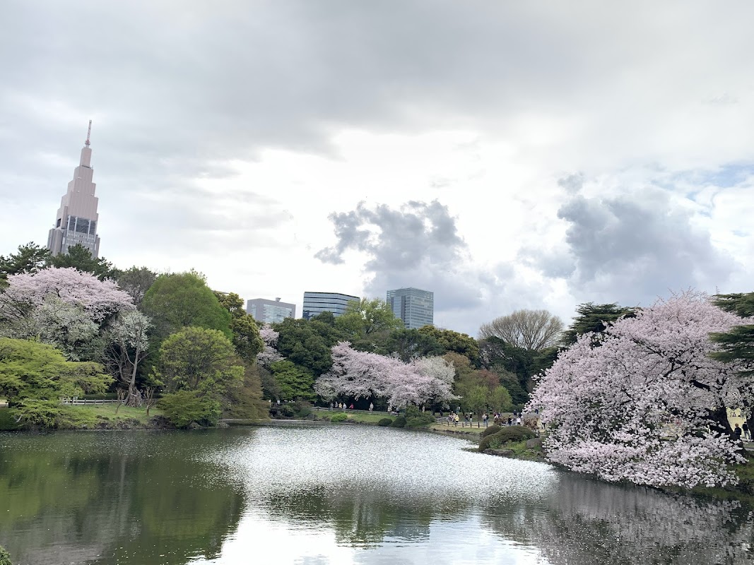 Jardin national Shinjuku Gyoen – 11 Naitōmachi, Shinjuku City, Tokyo 160-0014, Japan (photo 1)