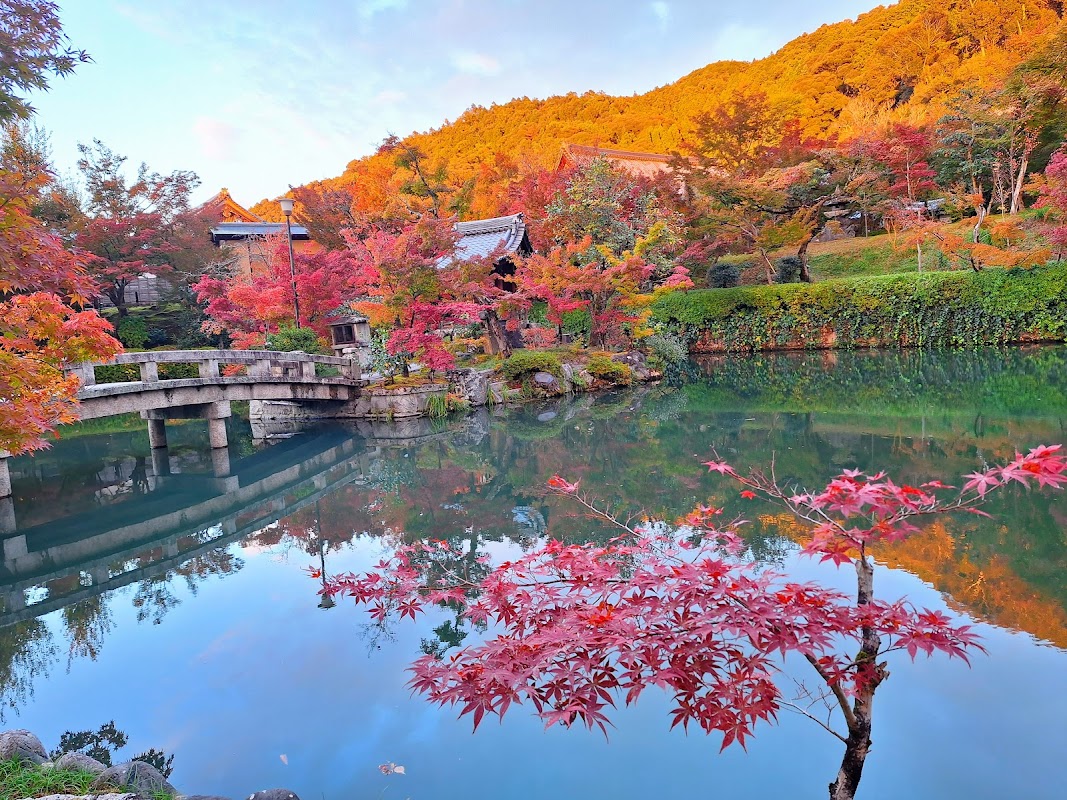 Temple Eikan-do – 48 Eikandōchō, Sakyo Ward, Kyoto, 606-8445, Japan (photo 1)